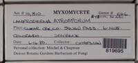 Image Associated With the Occurence
